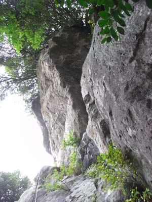 Wild Boar Gorge 2011May21 4