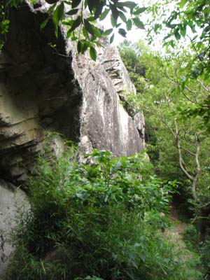 Jho-Yama nanpeki  2011Jun25 4