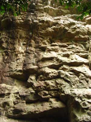 Wild Boar Gorge 2011Oct1 3