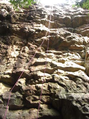 Wild Boar Gorge 2011Nov5 2