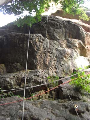 Wild Boar Gorge 2011Nov5 3