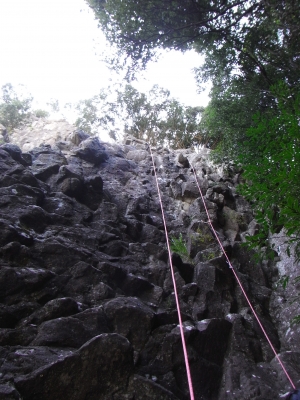 Wild Turkey Gorge 2009.9.20 2