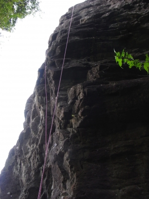 Wild Turkey Gorge 2009.9.20 3