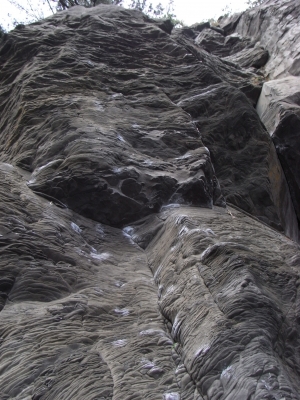 jhogasaki 2009Dec30 3