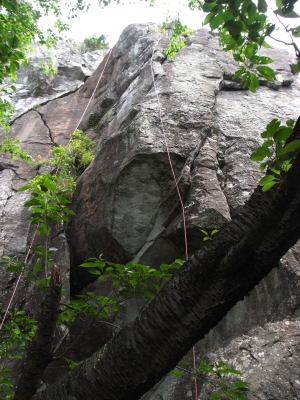 Washizu-Yama 2010May1 2