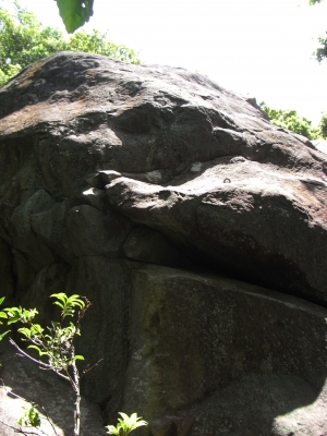 Washizu-Yama 2010May9 2