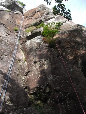 Washizu-Yama 2010May9 3