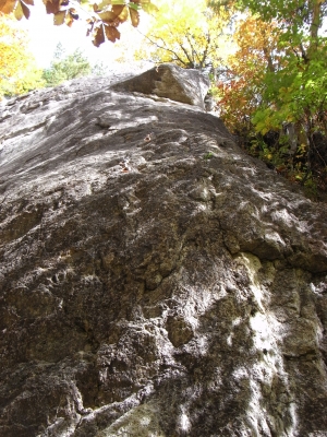 Ogawayama 2010Oct16 2