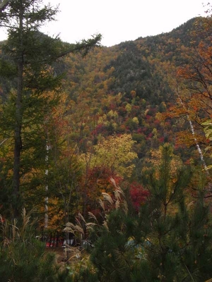 Ogawayama 2010Oct16 3