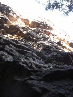 Wild Boar Gorge 2010Nov3 4