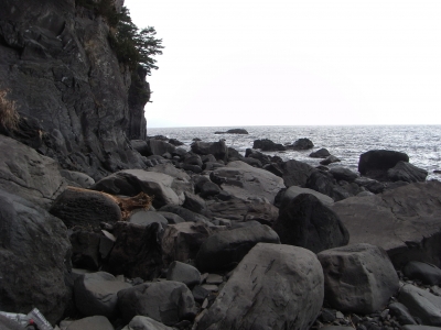 jhogasaki 2011Jan22 1