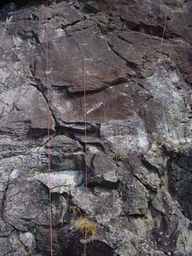 washizuyama 2008Mar9 7