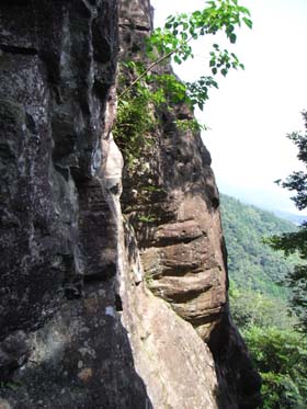 jo-yamahoppeki pompoko 2008Jul13 2