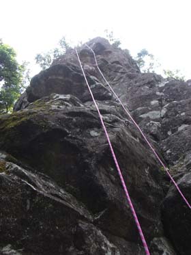 jo-yamahoppeki pompoko 2008Jul13 3