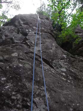 jo-yamahoppeki pompoko 2008Jul13 4