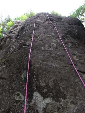 jo-yamahoppeki pompoko 2008Jul13 5