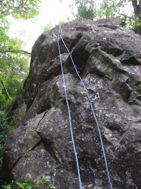 jo-yamahoppeki pompoko 2008Jul13 6