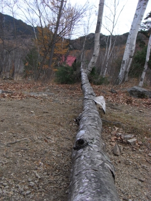 Ogawayama 2008Nov2 4