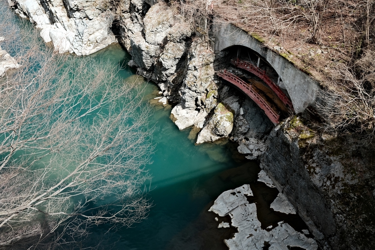 f:id:tortoise_A39:20210214091407j:plain