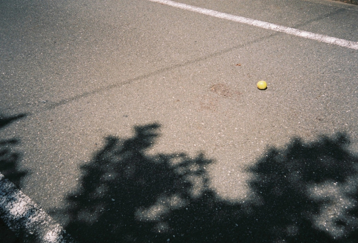 f:id:tortoise_A39:20210218184203j:plain