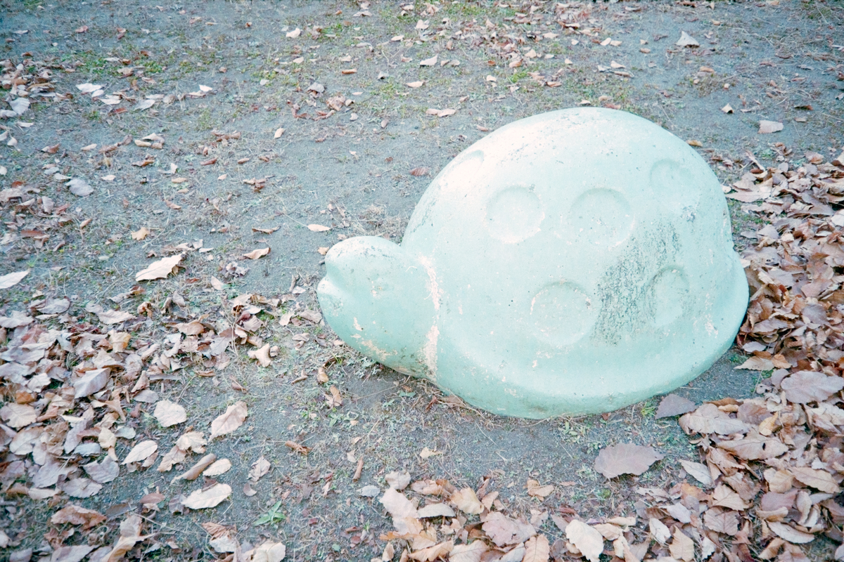 f:id:tortoise_A39:20210218184343j:plain