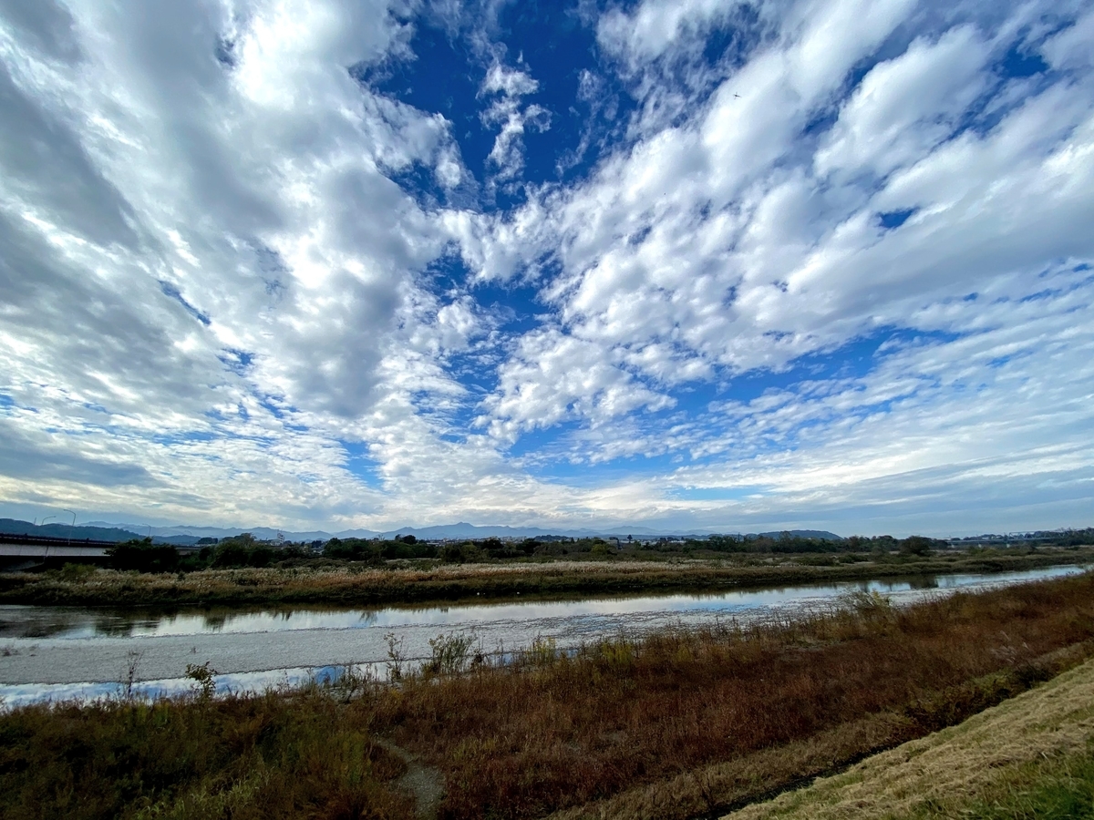 多摩川河川敷