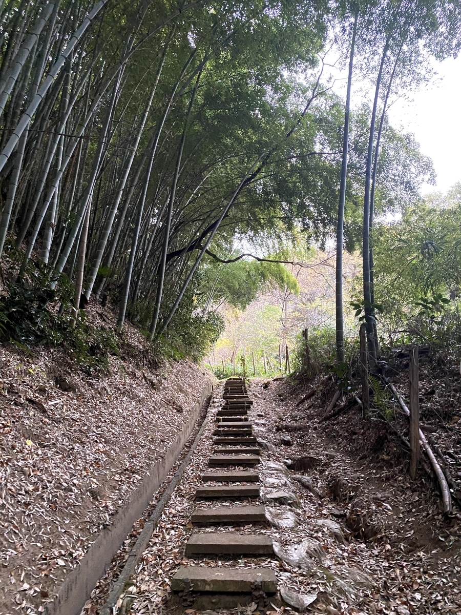 里山の小道