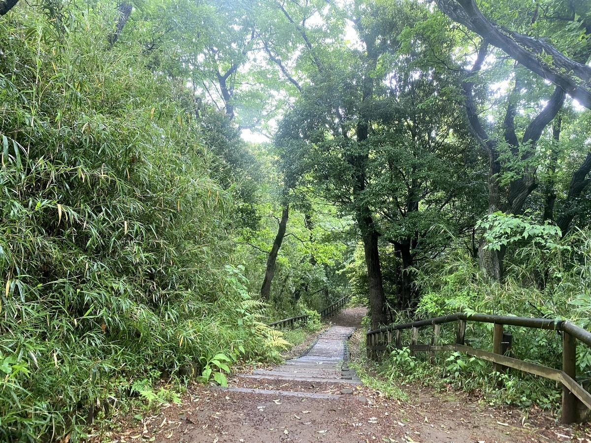 生田緑地