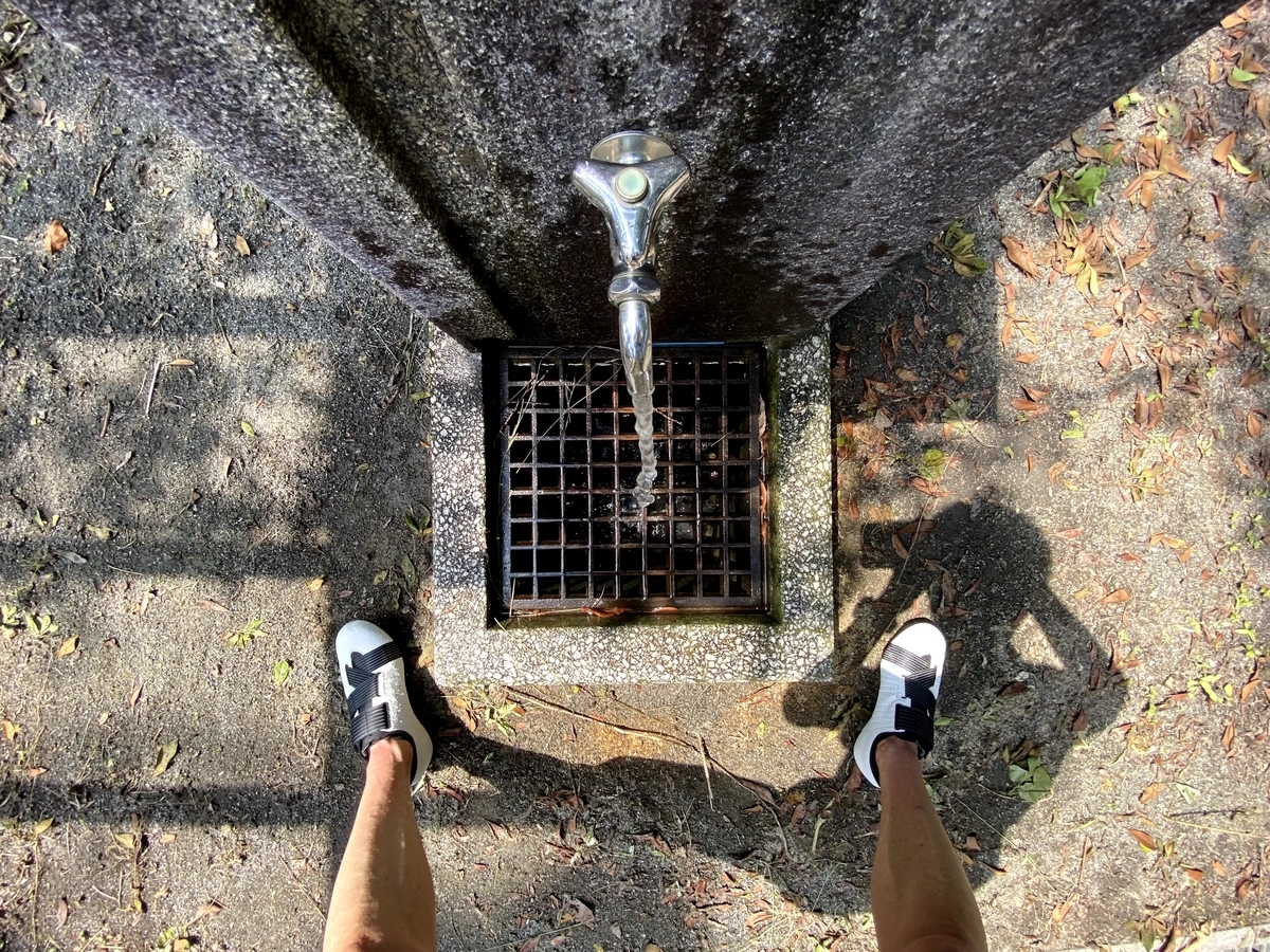 水浴び
