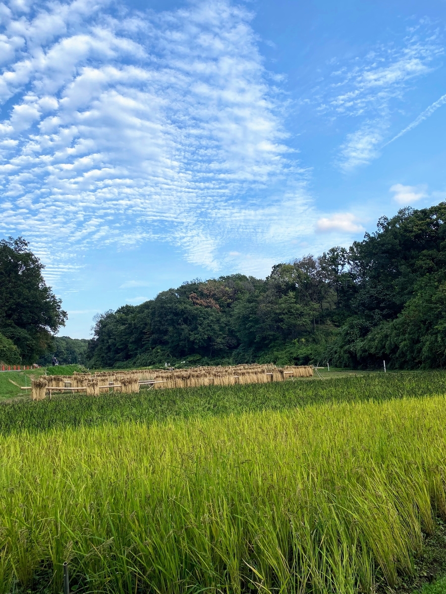 寺家ふるさと村