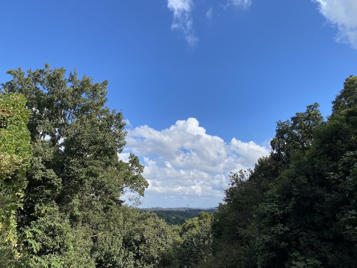 夏の空