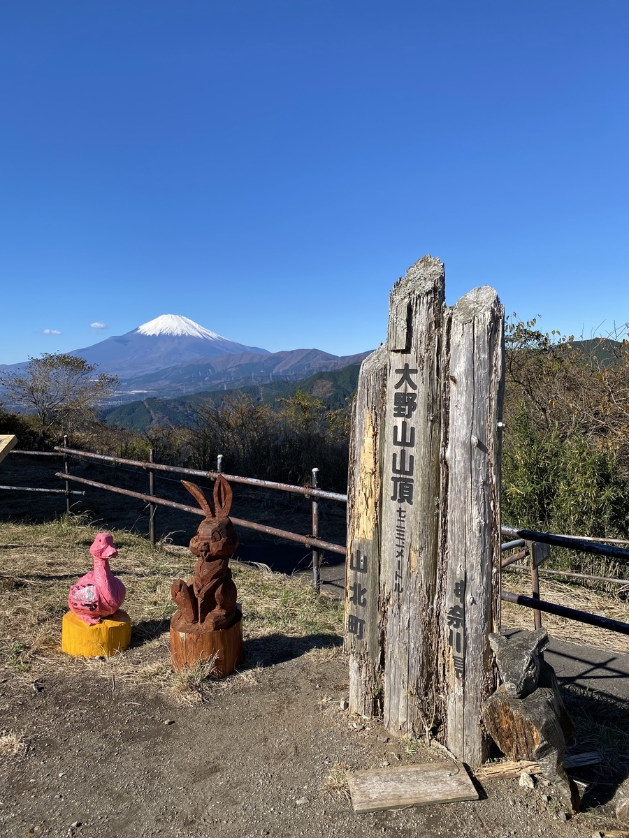 大野山頂上