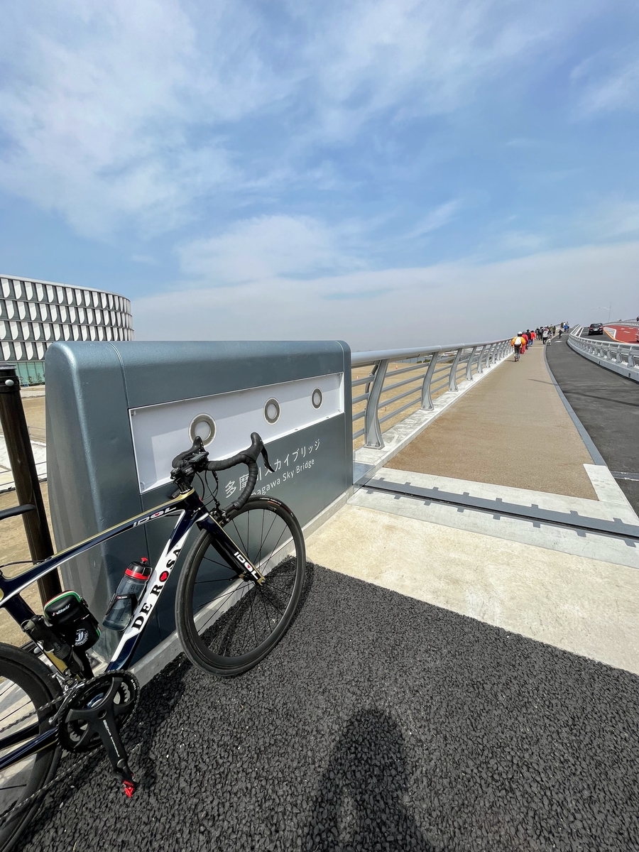 多摩川スカイブリッジ