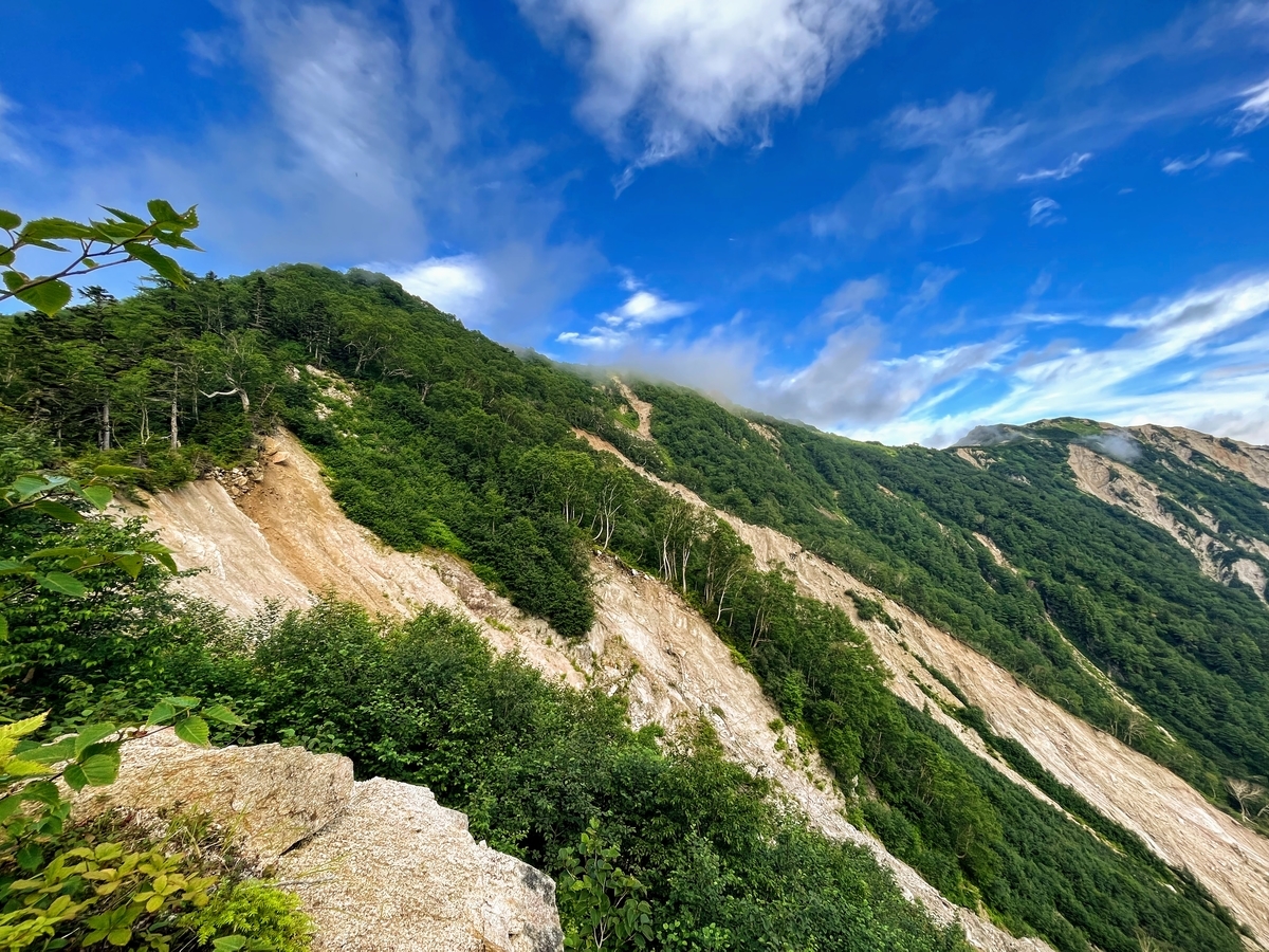 ブナ立尾根途中