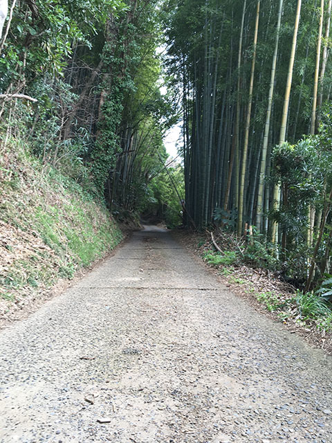 f:id:toru50:20180324140140j:plain