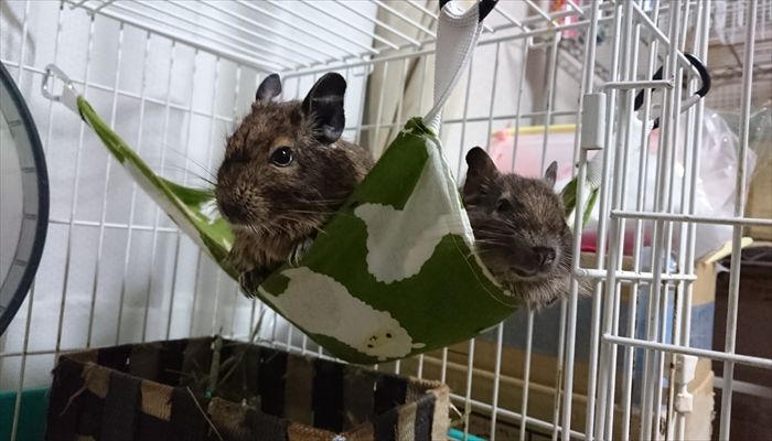 暑さ寒さグッズは必須です