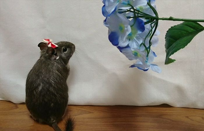 夏の暑さ対策 夏の暑さ対策