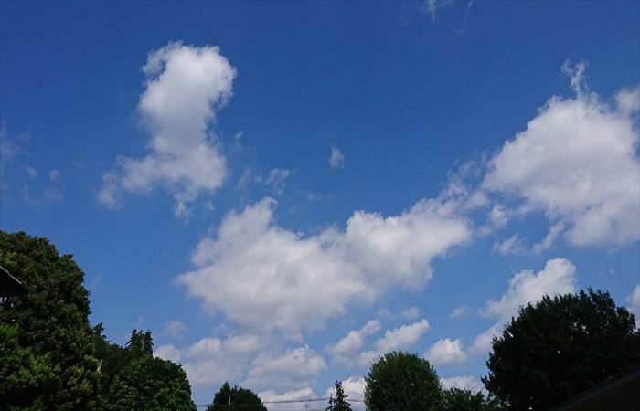 f:id:torus1:20170911111133j:plain f:id:torus1:20170911111133j:plain