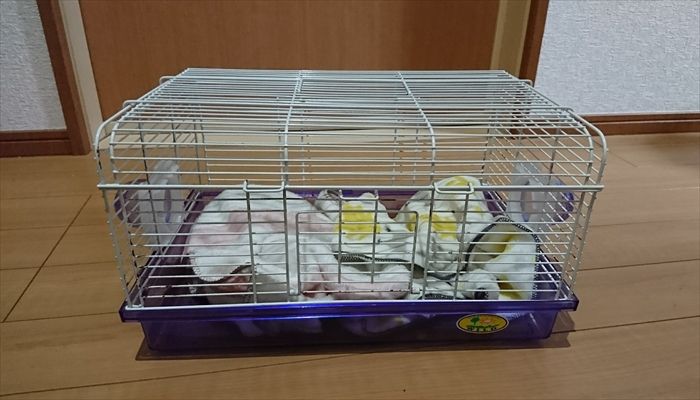 f:id:torus1:20170927161548j:plain f:id:torus1:20170927161548j:plain