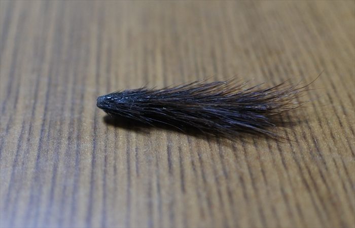 切れた尻尾の先 切れた尻尾の先