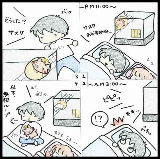 デグー チンチラ モルモットの違いはどんなところ デグーと