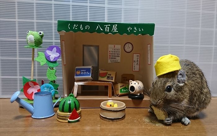 デグー