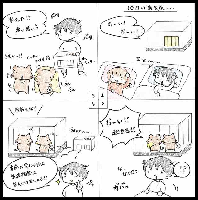 寒がるデグーたち