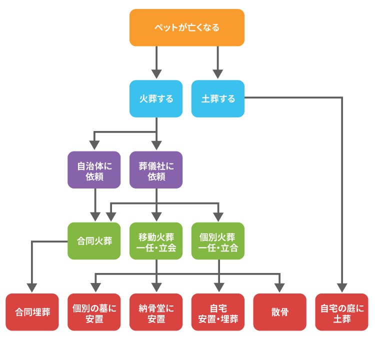 ペット葬儀の流れ