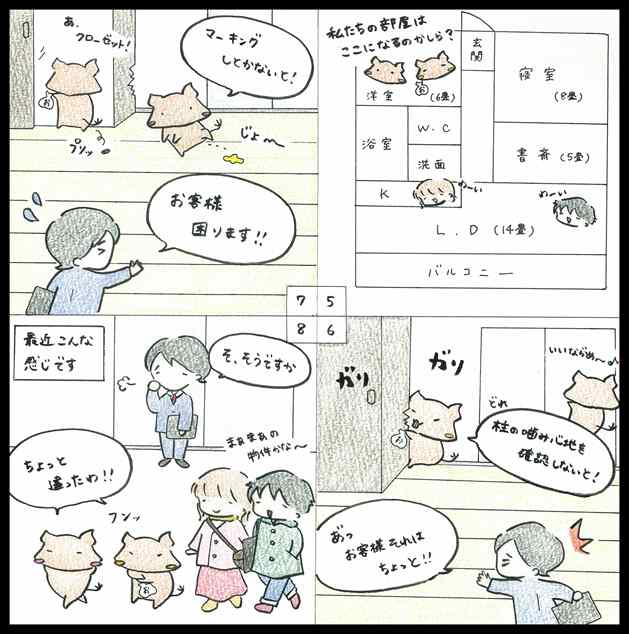 新築の内見話し