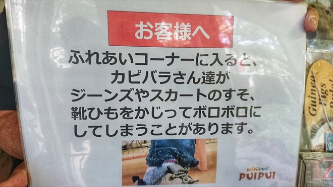 カピバランドPUIPUI カピバランドPUIPUI・注意点