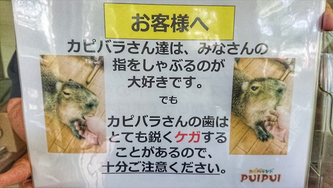 カピバランドPUIPUI カピバランドPUIPUI・注意点
