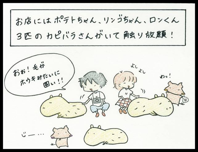 カピバランドPUIPUI カピバランドPUIPUI