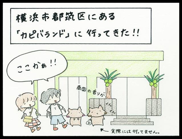カピバランドPUIPUI カピバランドPUIPUI