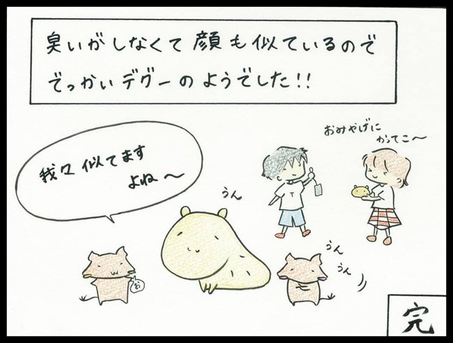 カピバランドPUIPUI カピバランドPUIPUI